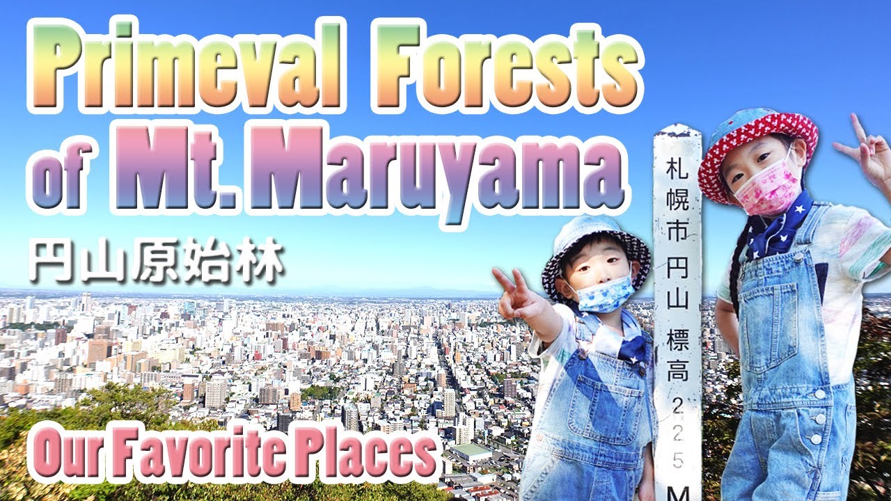 【Primeval Forests of Mt.Maruyama】Climbing a mountain for the first time！｜はじめての登山！円山原始林【札幌】｜