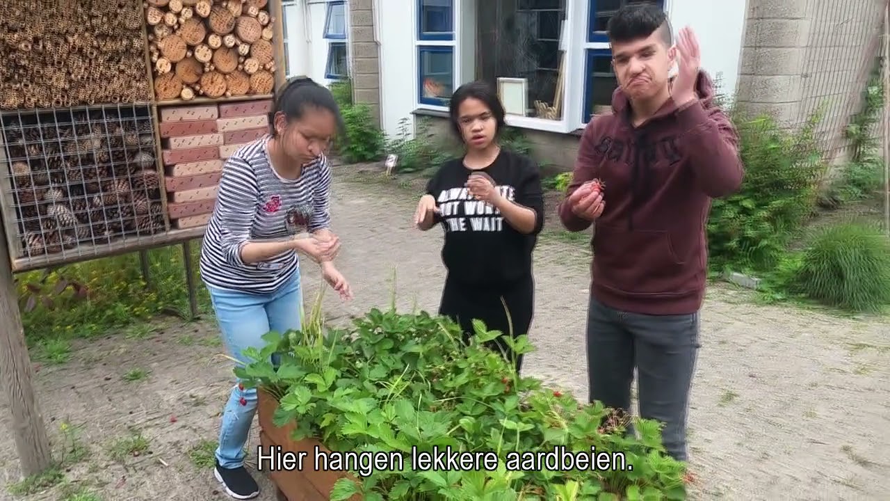 Guyot in Beeld 5 - de Schoolverlatersmiddag