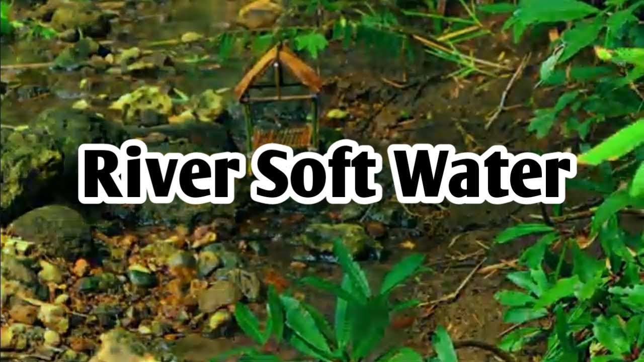 A Quiet Spot by the River | Soft Water Flowing Over Smooth Stones