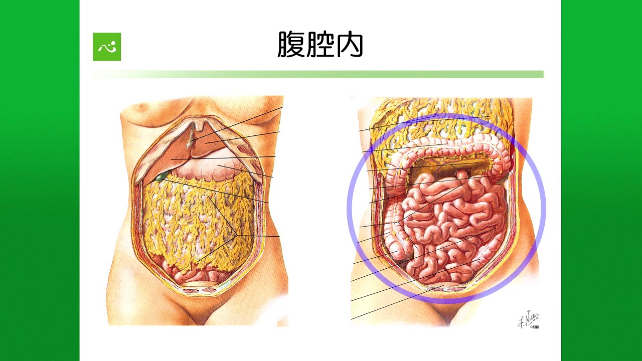 子宮がんとは？（総論）