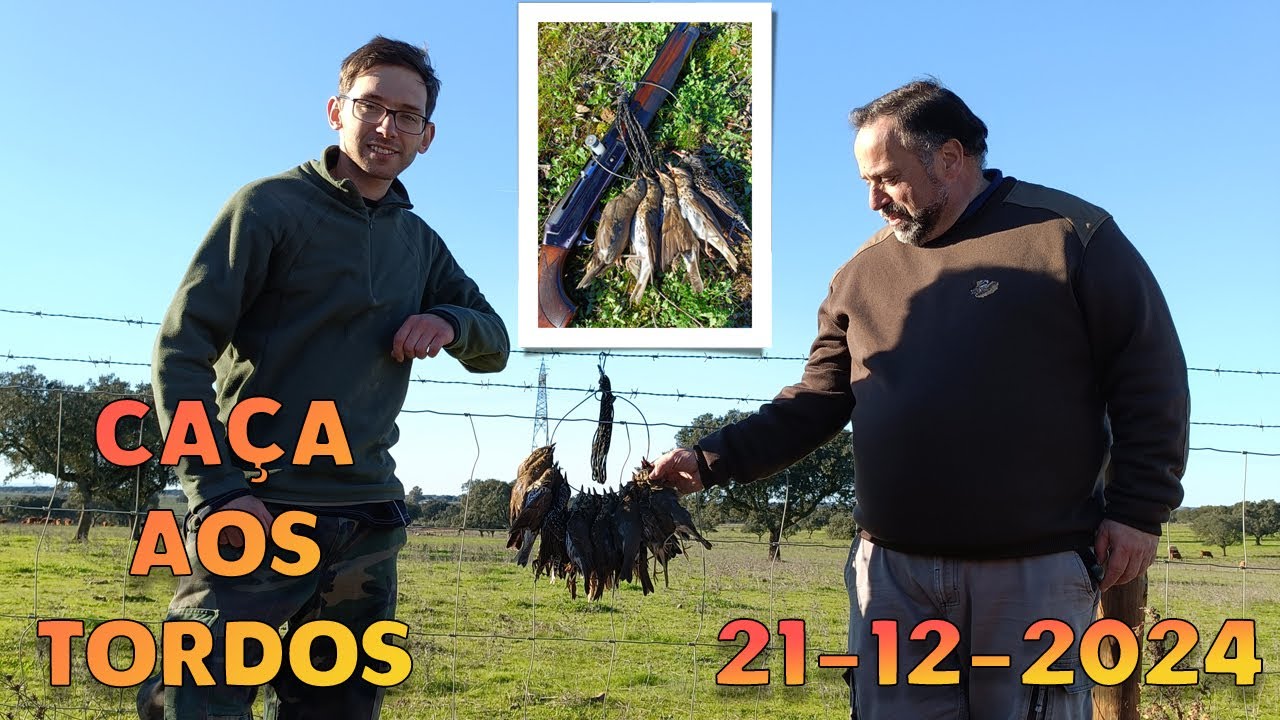 4ª Jornada de Caça aos Tordos - Marteleiragem a monte (Caza Zorzales Época 2024/2025)