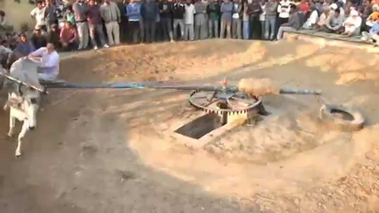 Pind Mazara Dingrian - Halt Diya Dhora at Pind Mazara Dingrian - Part 5
