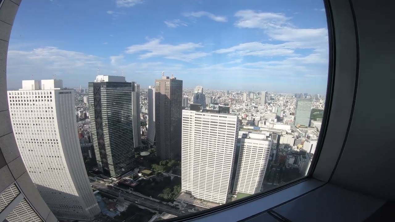 view from tokyo tower