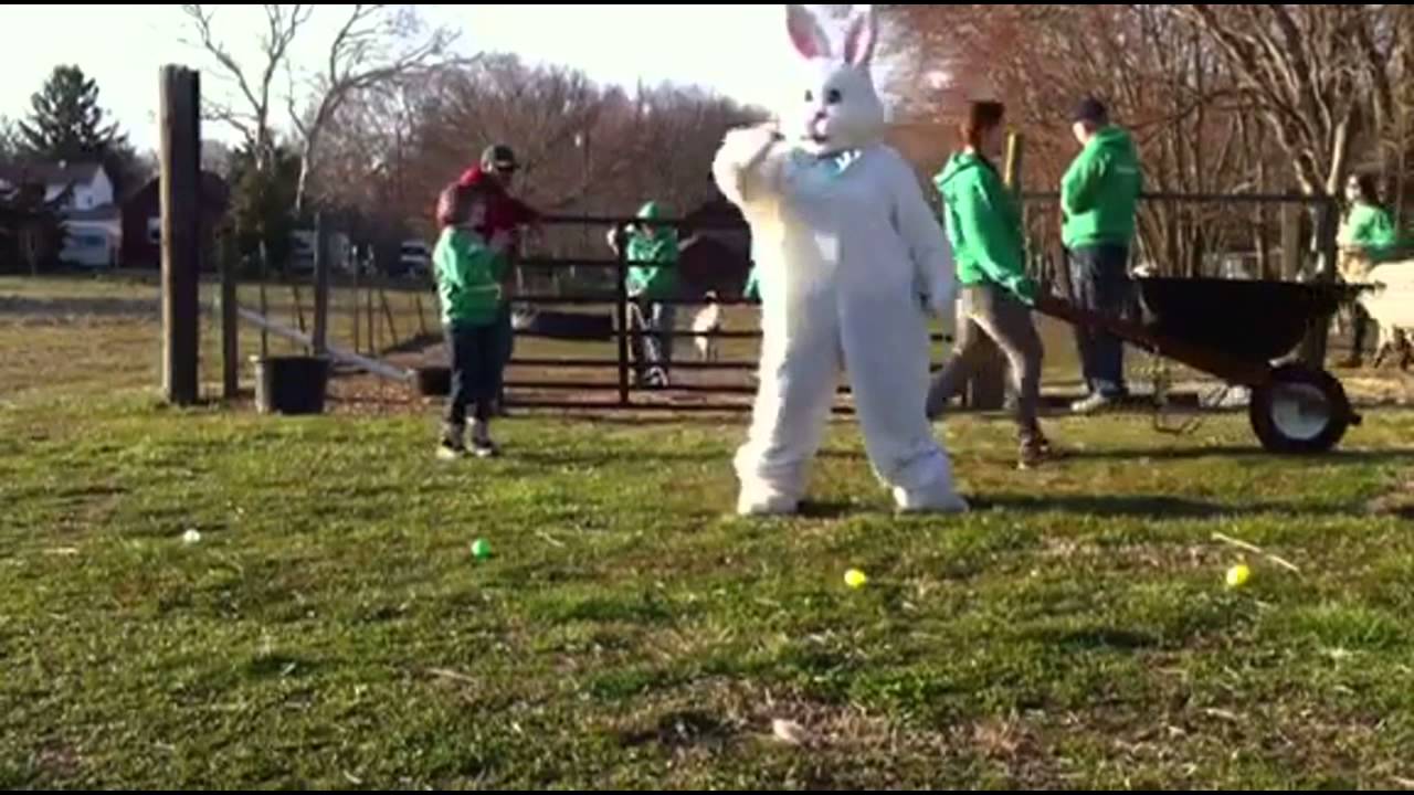 Welcome to McCann's Farm!
