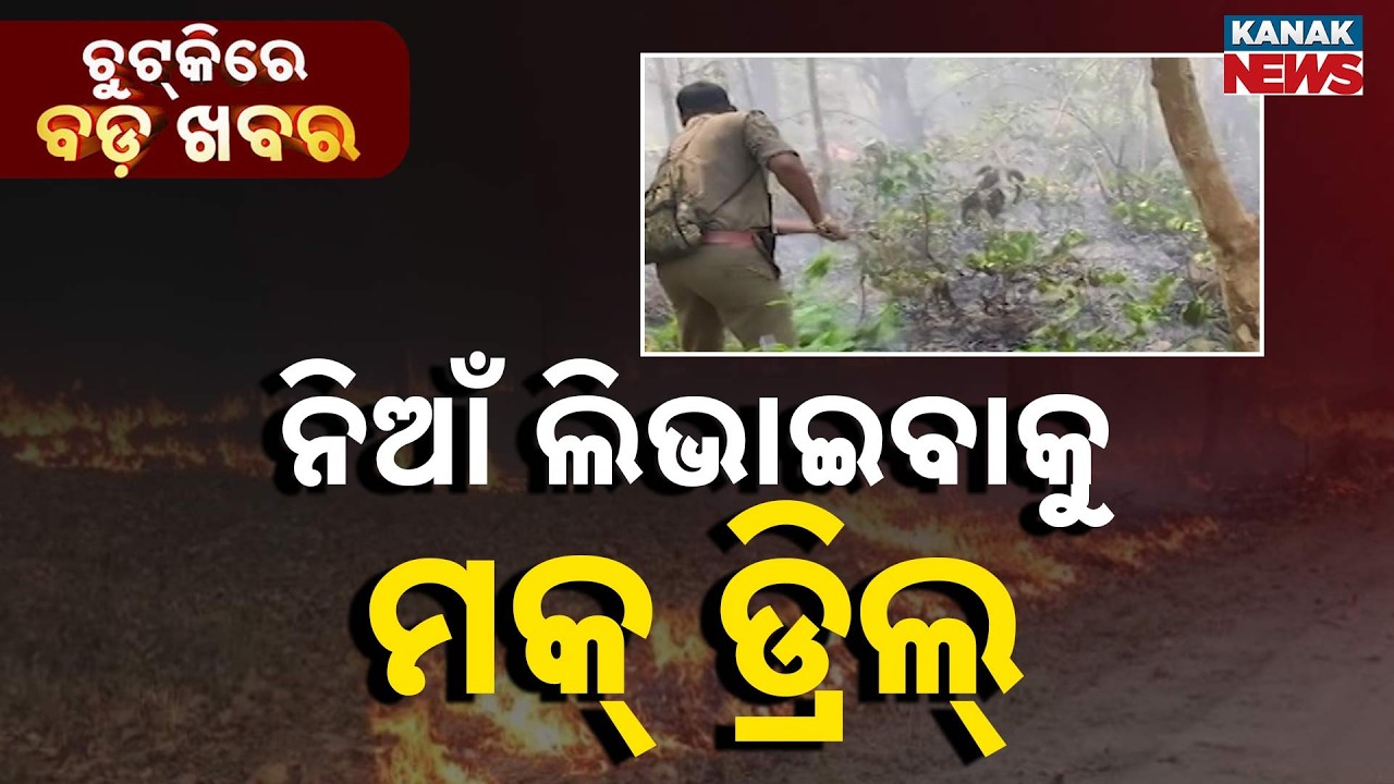 Chutkire Bada Khabar || 11th February 2026 || 4PM Digital Bulletin || Kanak News