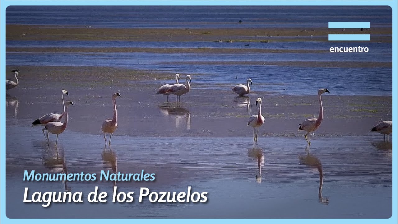 Parque Nacional Monumento Natural Laguna de los Pozuelos - Jujuy | Equilibrios | Encuentro
