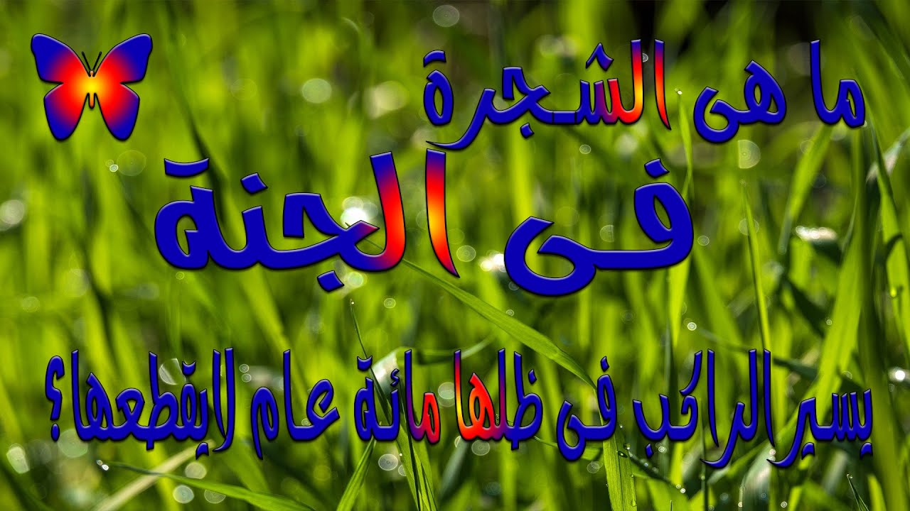 ما هى الشجرة فى الجنة يسير الراكب فى ظلها مائة عام لا يقطعها؟