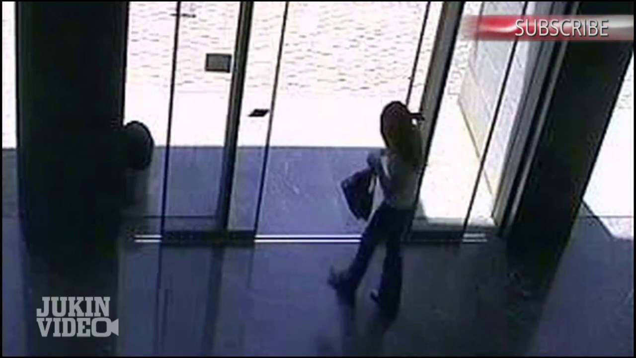 Crystal Door (Crystal Dolphin meme)