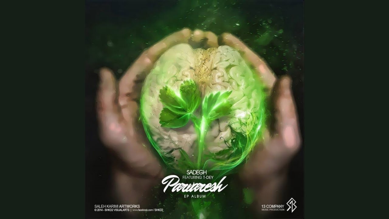 Sadegh ft T-Dey - Namayeshi Sade