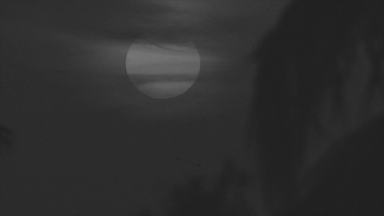 Adam Ford x YOUTH 83 x sleepscreen - Lonely