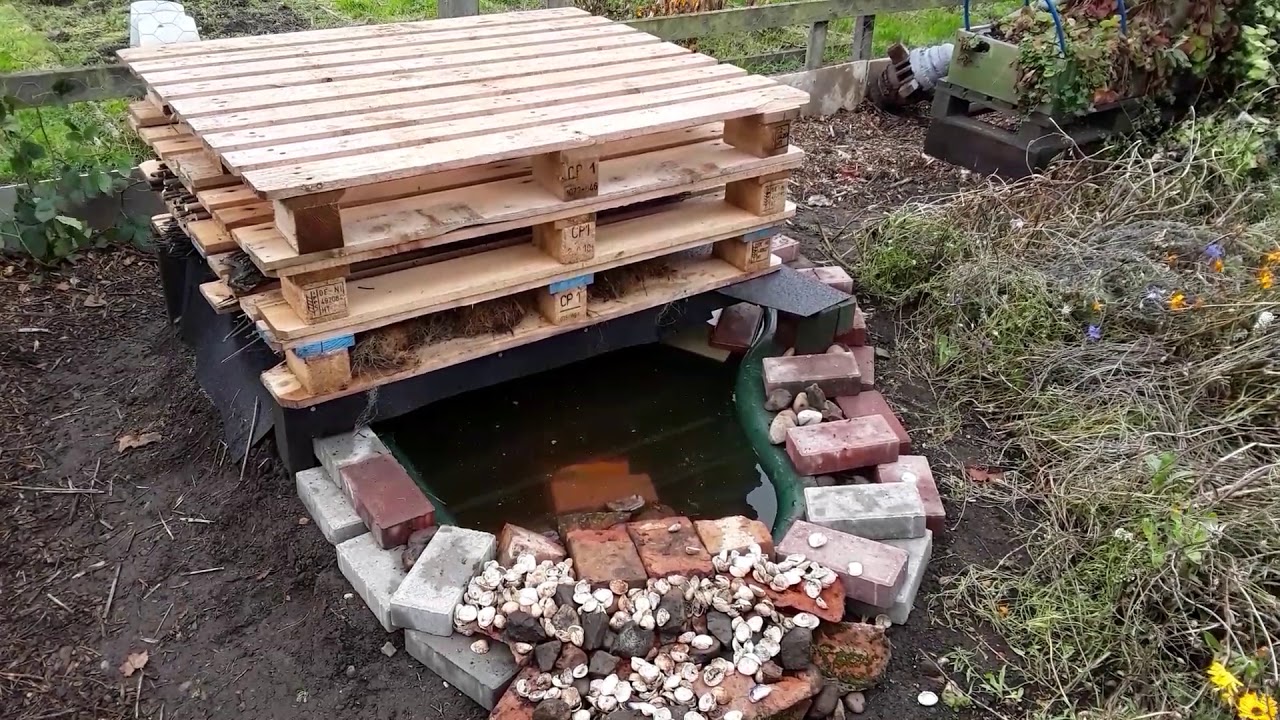 #StartingANewAllotment Series 2 Episode 7.  