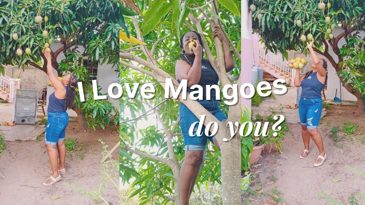 DAY IN MY LIFE | Mango Madness 🥭😍✨