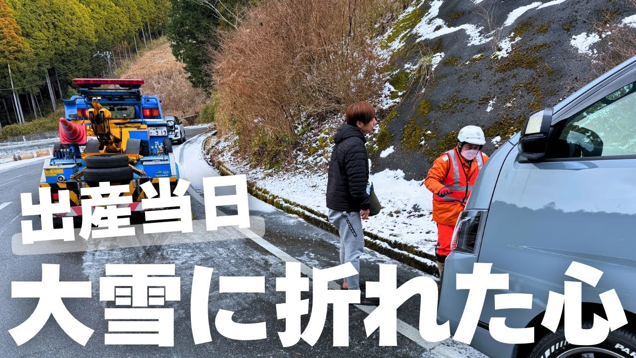 【ダックスの出産】出産当日に異常分娩が発覚、病院に向かうも大雪に阻まれる