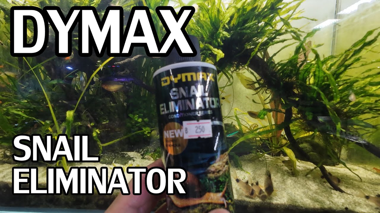 ยาฆ่าหอย Dymax มันดีย์มากแกร รู้แล้วทำไมเขาต้องเหมา