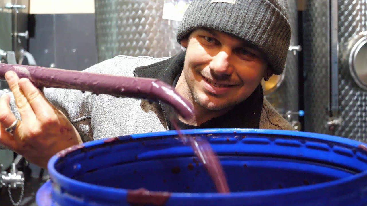 Grappa hin Schwarzbrand her | mit Herzblut zum Wein Vlog #136