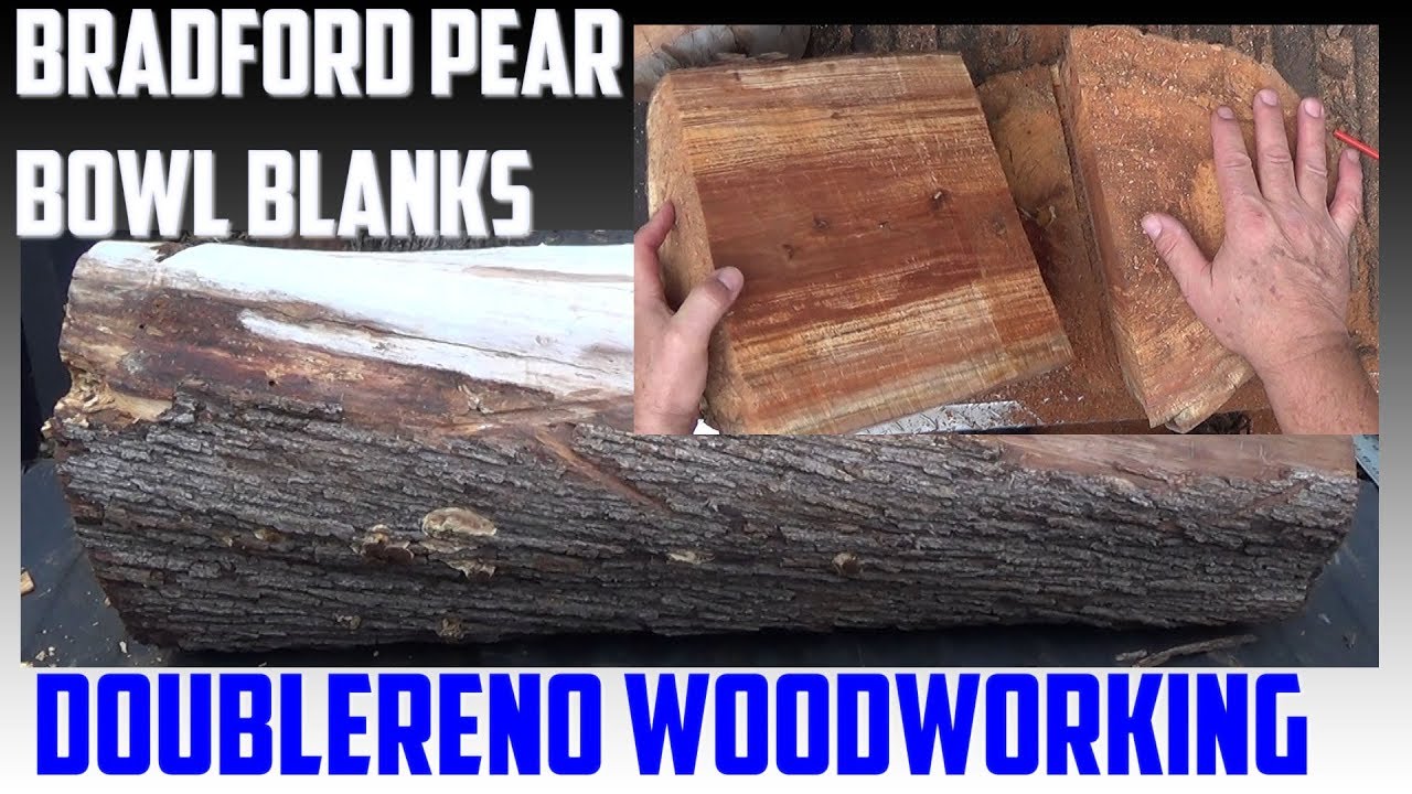 Bowl Blanks From A Bradford Pear Trunk