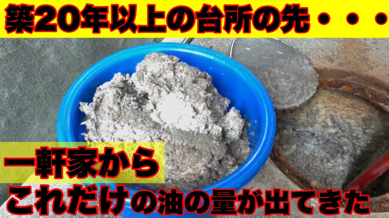一戸建ての台所の外の桝が10年以上ぶりに開いたら大変な事になっていました！