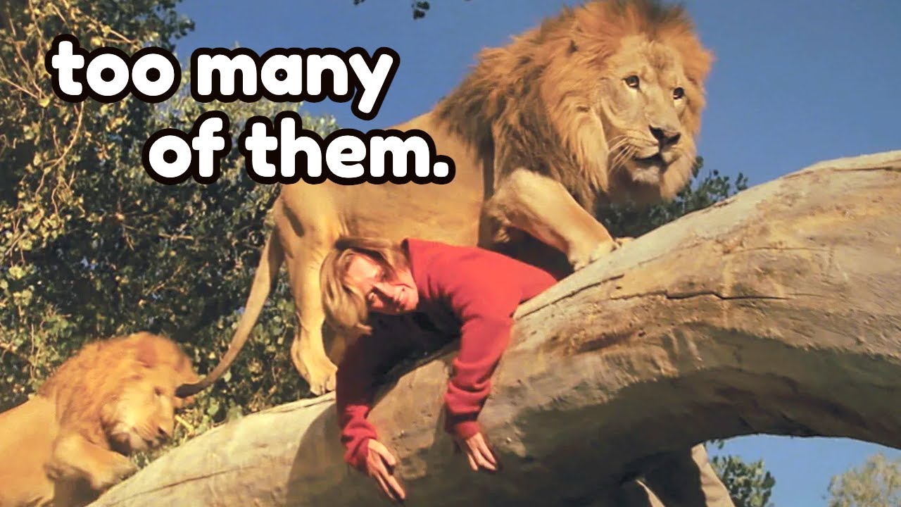 There are 71 Lions in this movie