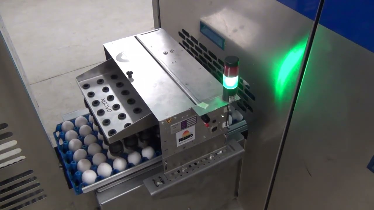 Nuovo Egg Stamper - Easy Print R30 on Mopack 100