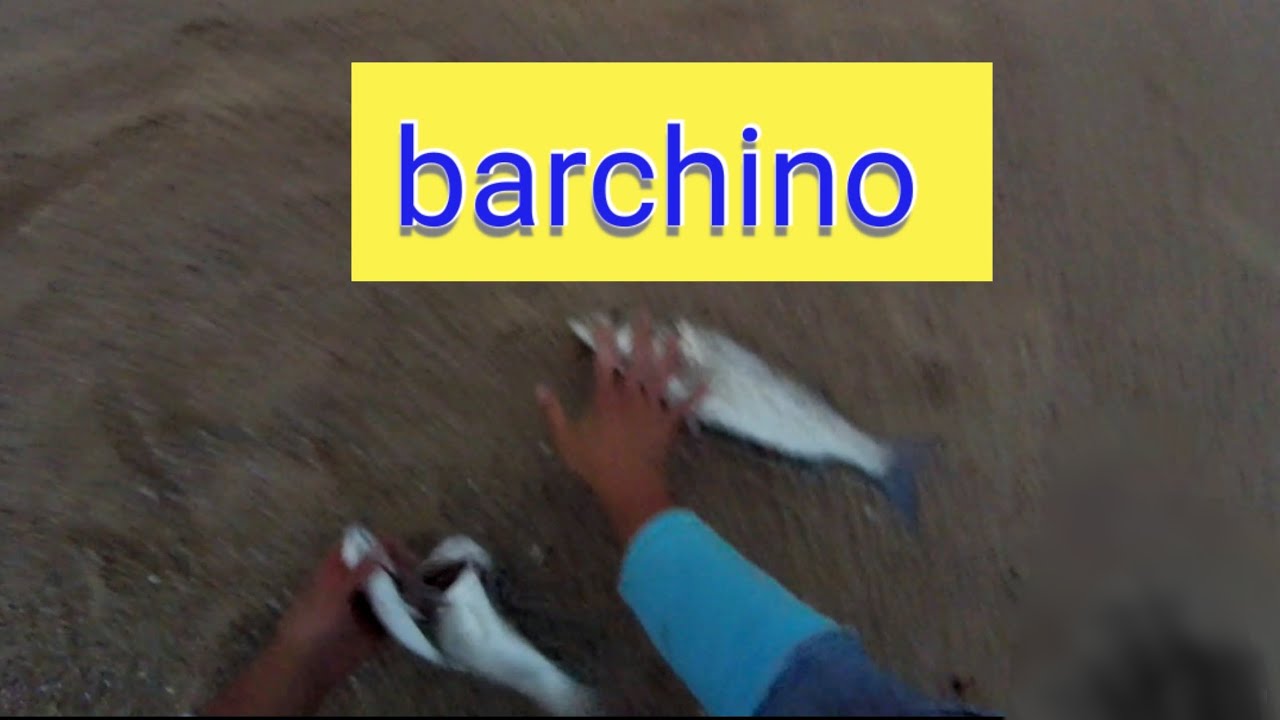 pesca com barchino no spot super difícil. desafiar a força do mar .#fishing