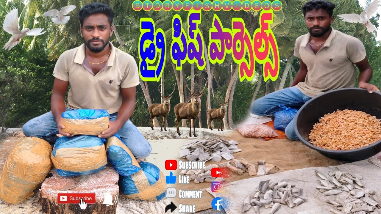 డ్రై ఫిష్ పార్సెల్  #best dryfish #BT dryfish videos #dryfish orders #all type of dryfishes #fish 👍😍