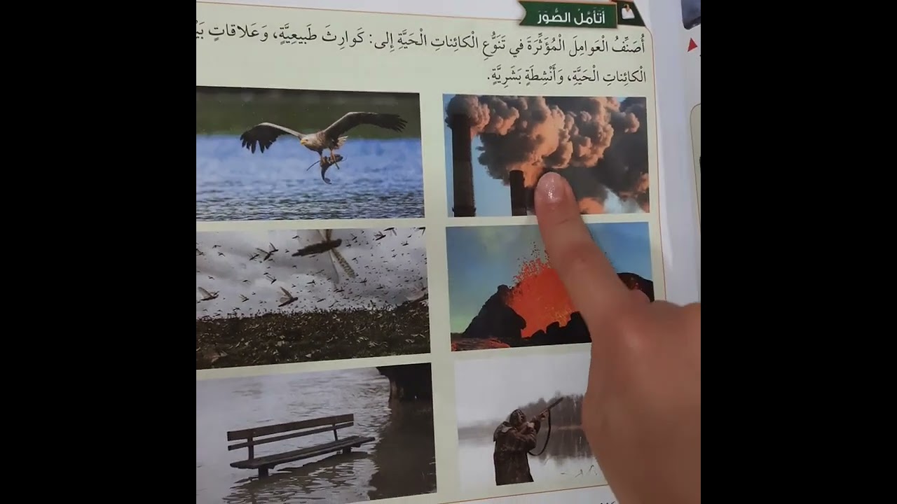 حل اسئلة اثر تغيرات البيئة في الانظمة البيئية علوم خامس صفحة 16 منهاج جديد قناة حياتنا التعليمية