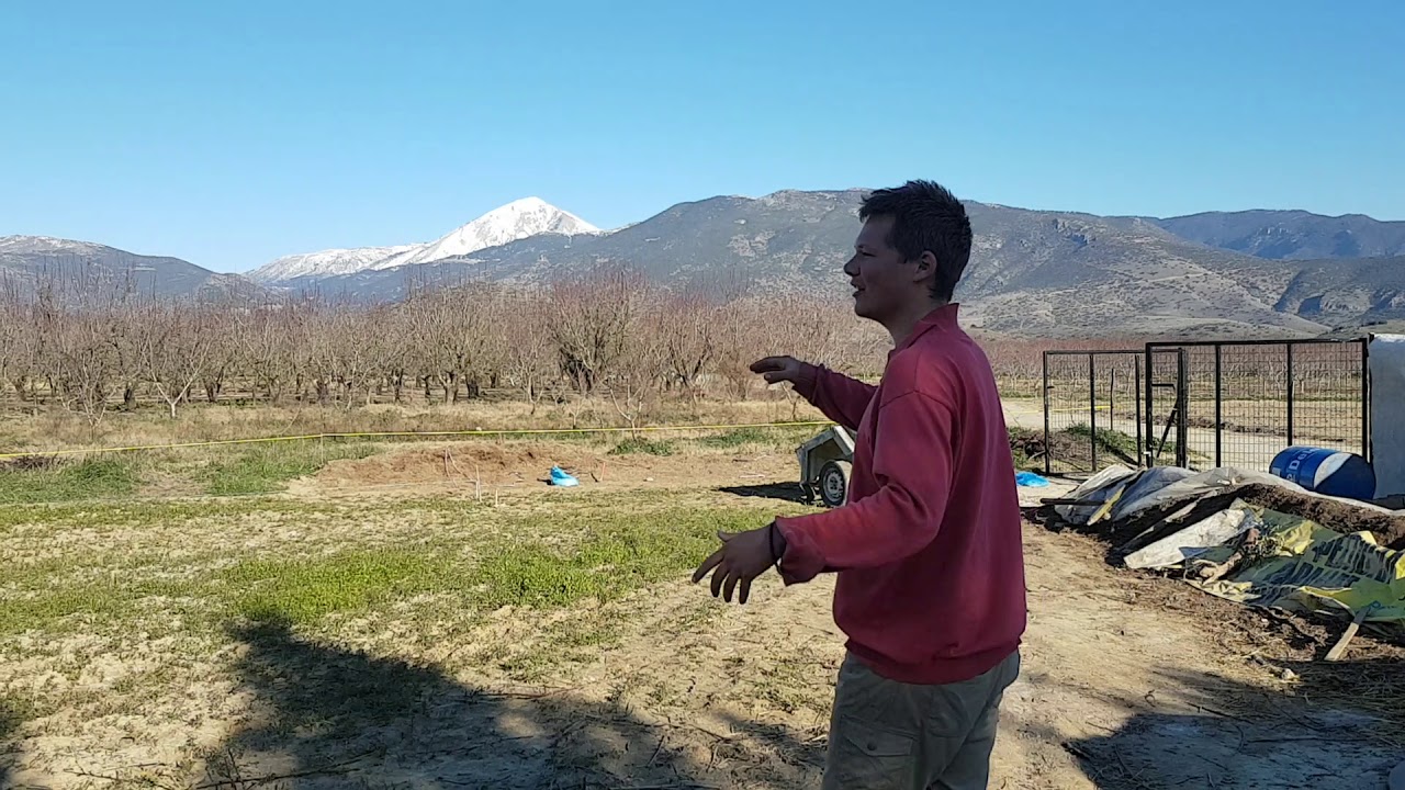 Food Forest Preparations in Greece