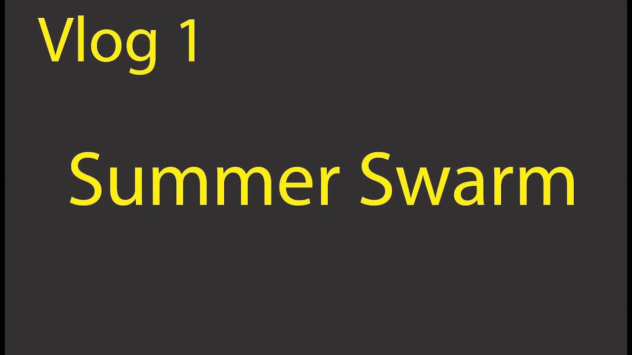 Vlog 1- Summer Swarm