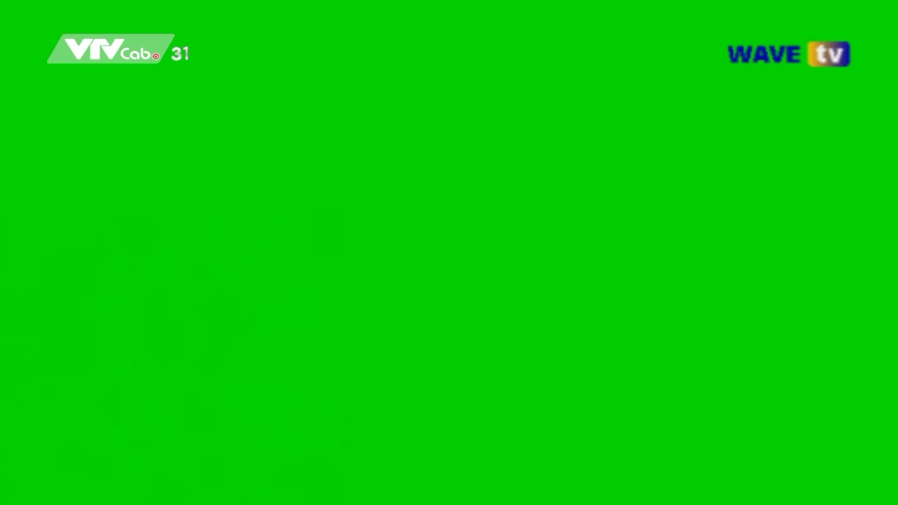 (Green screen) Khoảnh khắc k&ecirc;nh VTVCab 31 - Wave TV đổi logo th&agrave;nh ON Wave TV (00h00 - 08.12.2022)