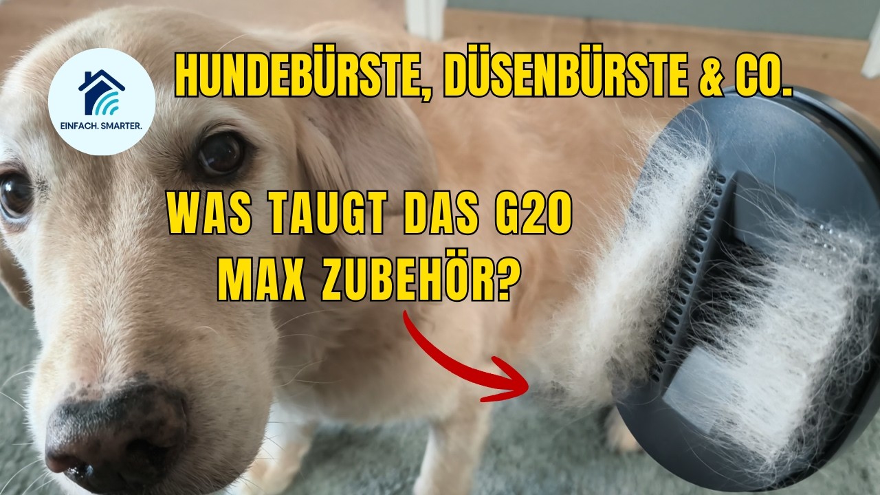 Hundebürste, Mini-Bürste & Co. – Xiaomi G20 Max Zubehör im Test