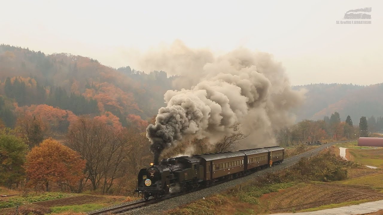 SL飯山線ロマン号 C11 325 2016年晩秋 (飯山線)