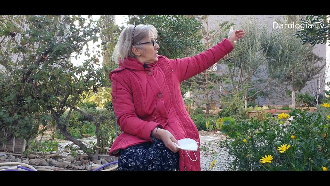 Une Oasis dans la ville