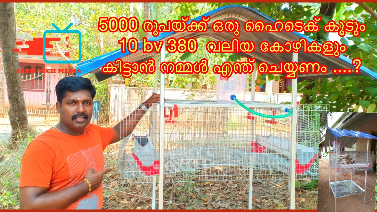 5000 രൂപയ്ക്ക് ഒരു ഹൈടെക് കൂടും 10 bv 380  വലിയ കോഴികളും കിട്ടാൻ നമ്മൾ എന്ത് ചെയ്യണം? Bv 380+ cage..