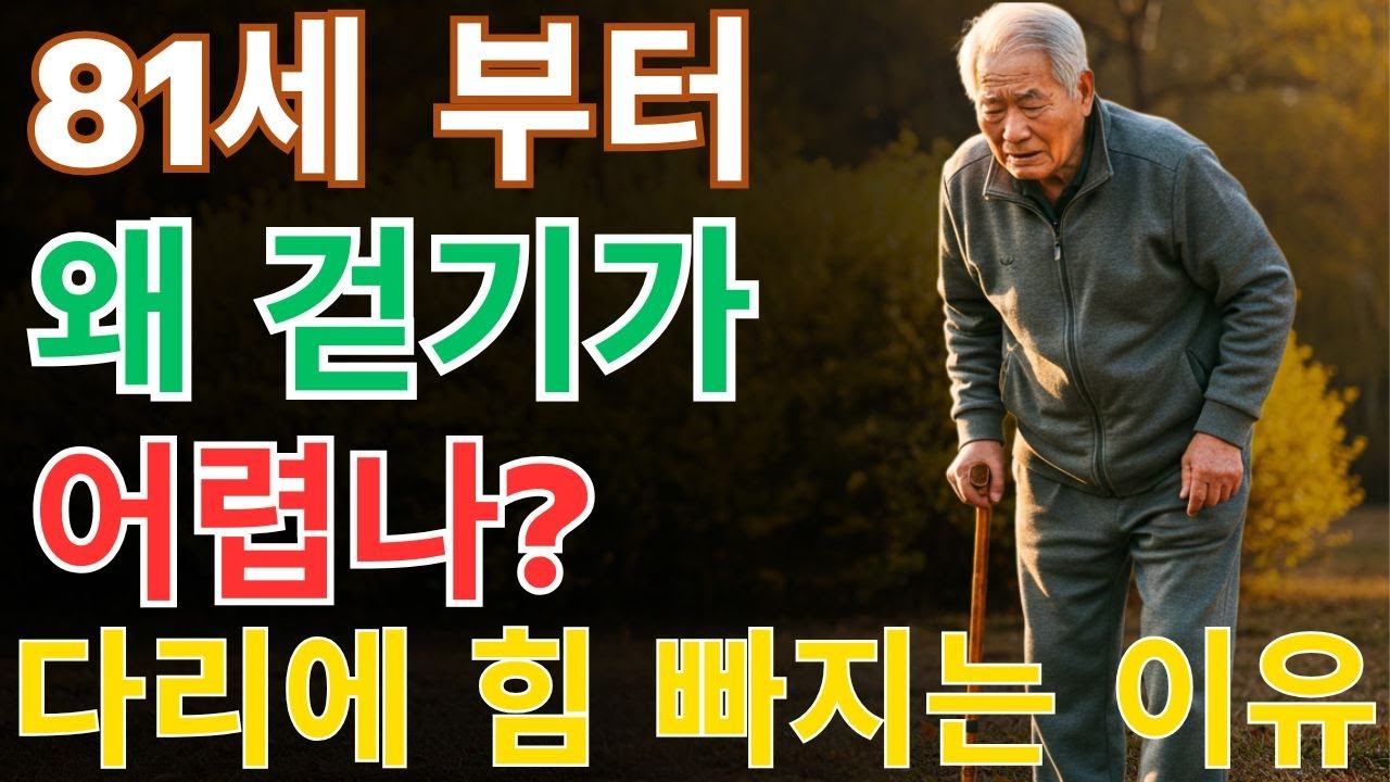 노인을 10년 빨리 걷지 못하게 만드는 3가지 치명적 실수 | 노후지혜