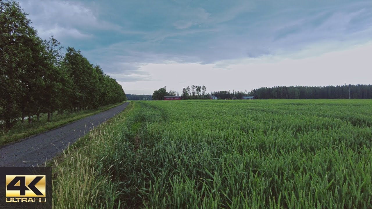 【4K】Relaxing walk in Finnish countryside with distant thunder