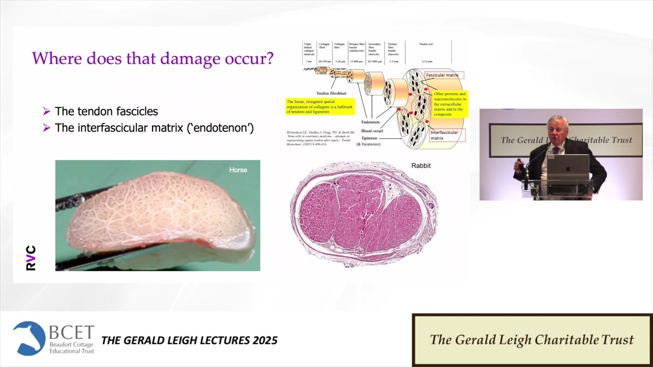 Aetiology and therapy as we know it - Prof. Roger Smith FRCVS