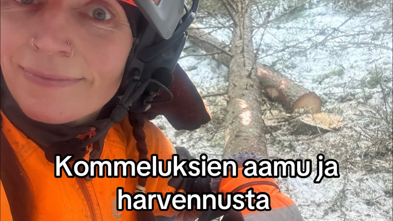 Volvo s80 huohotin jäätyi mutta lopulta pääsin metsään 