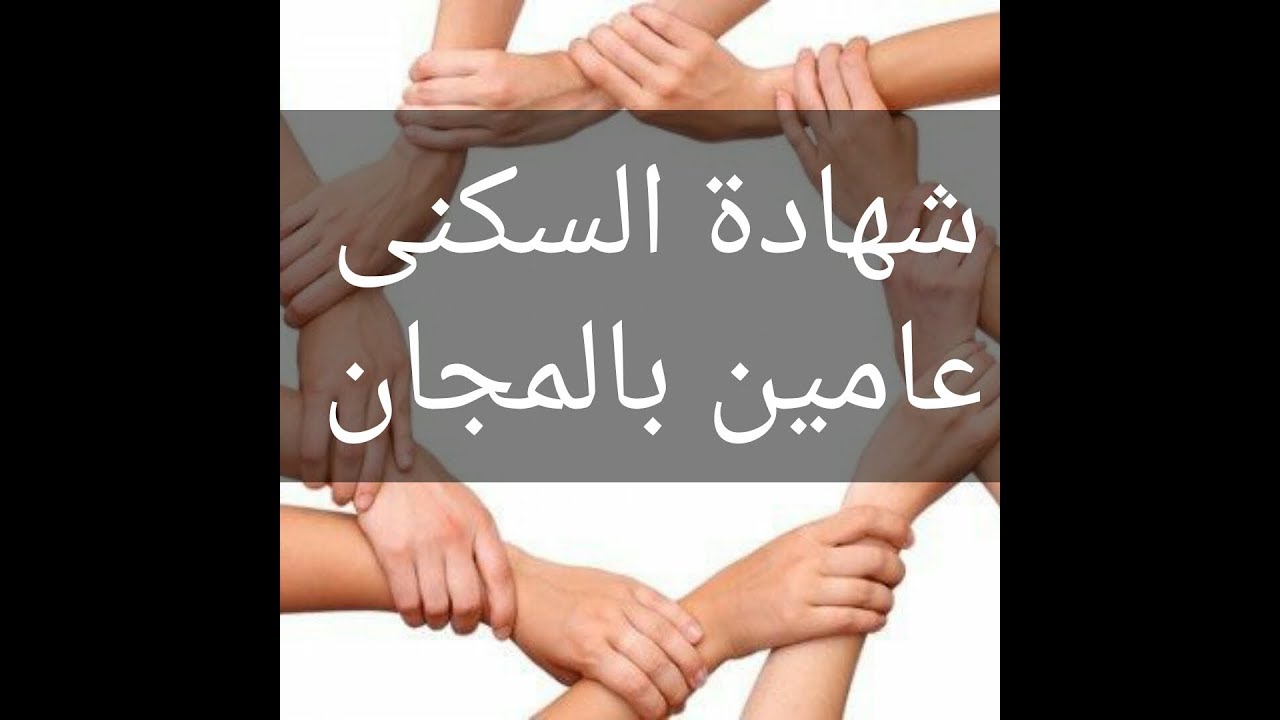 الحاضر أعلم الغايب شهادة السكنى بالمجان فبلباو