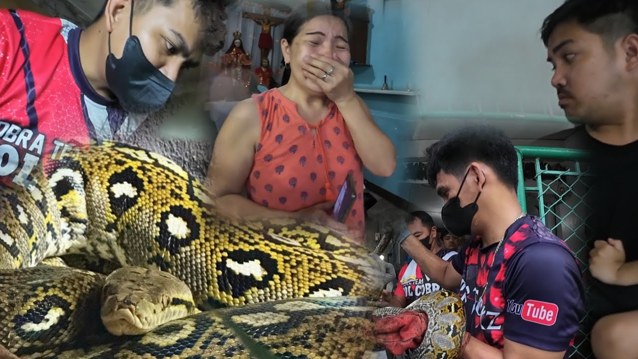 MAHABA AT MALAKING AHAS HALUS HIMATAYIN NG MAKITA