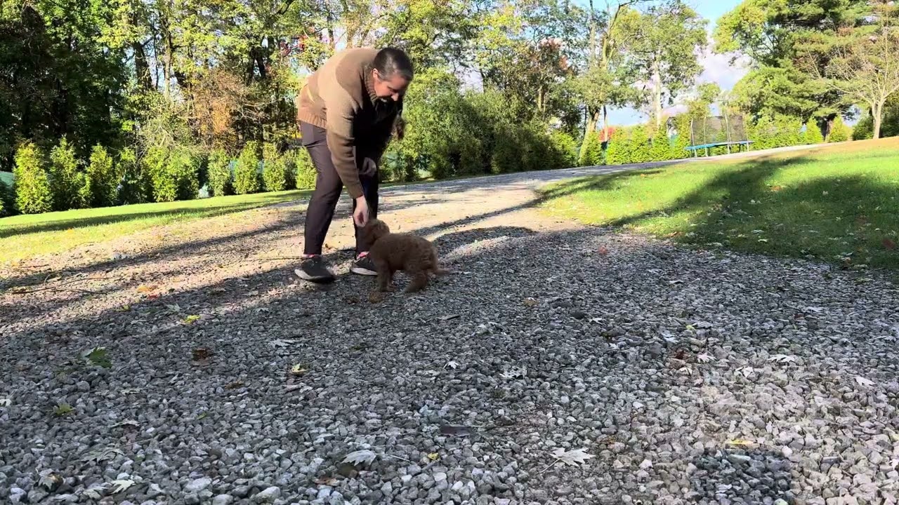 Griffin Training Session 