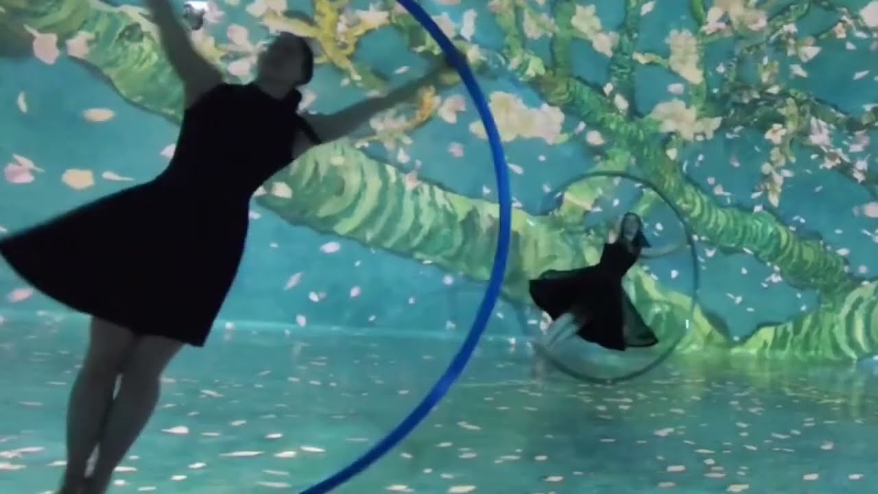 Bara Dankova - Cyr Wheel 2026
