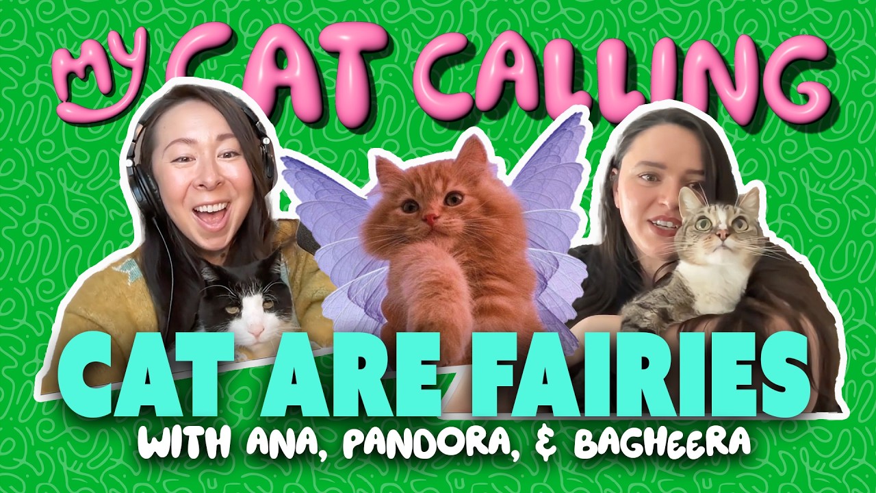 Cats Are Fairies with Ana, Pandora, & Bagheera