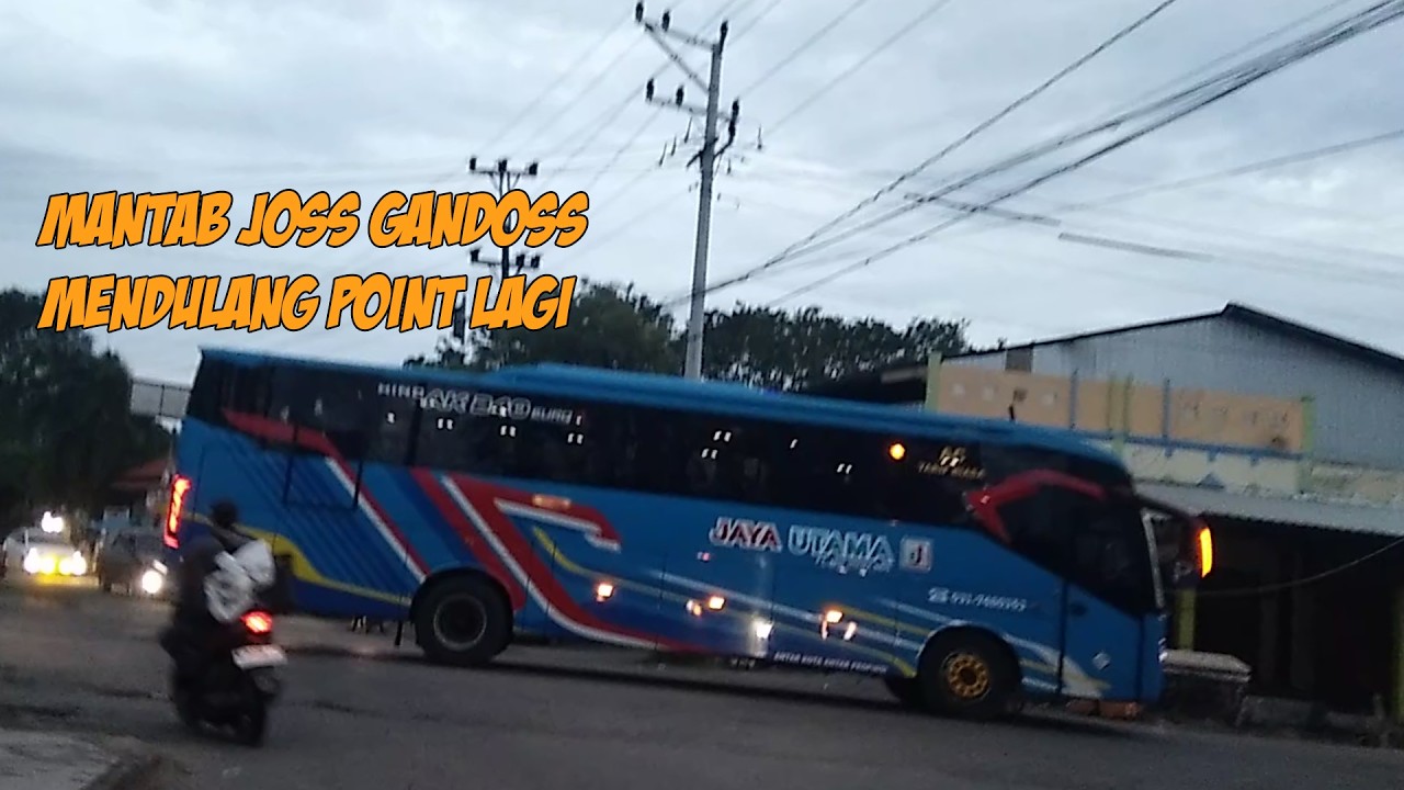 BERANI LARI KENCANG BUS MEDIUM SARANG - TAYU || PANTURA RAYA || 50 || MINGGU LEGI SORE 08 FEB 2026.