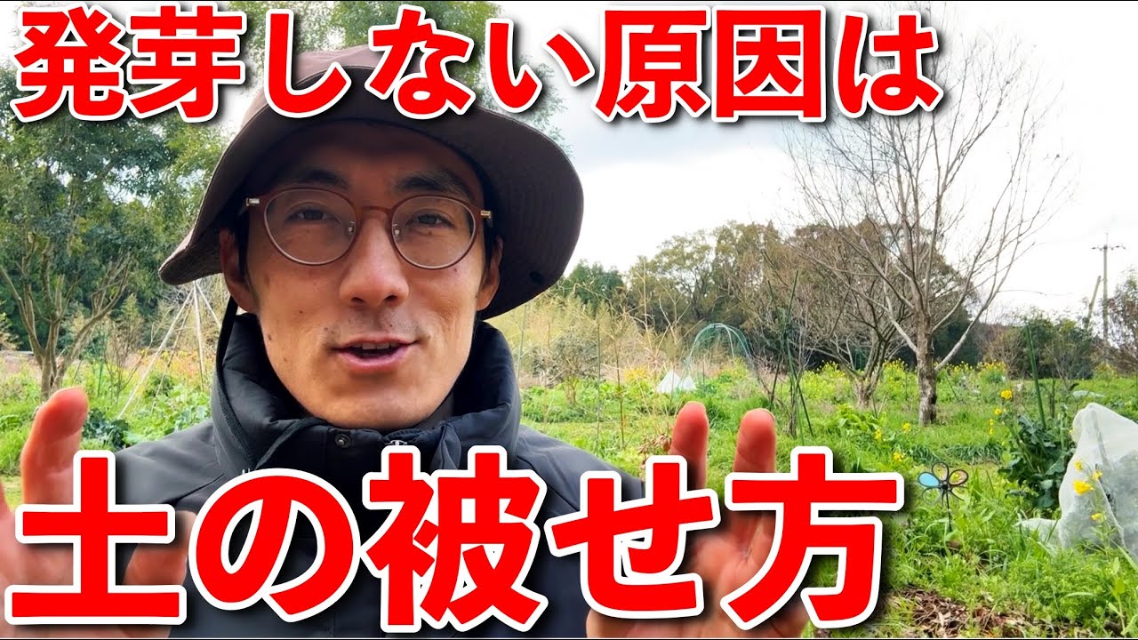 初心者が種まきで失敗する原因は土の被せ方に問題があります【自然農】