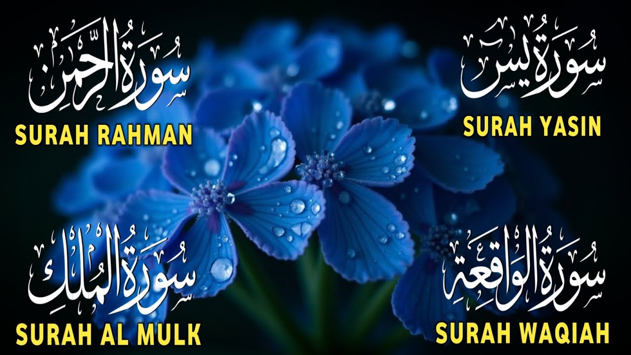 Surah Yaseen ❤ Surah Rahman ❤ Surah Al Waqia ❤ Surah Al mulk Soothing Quran recitation | Ep000420