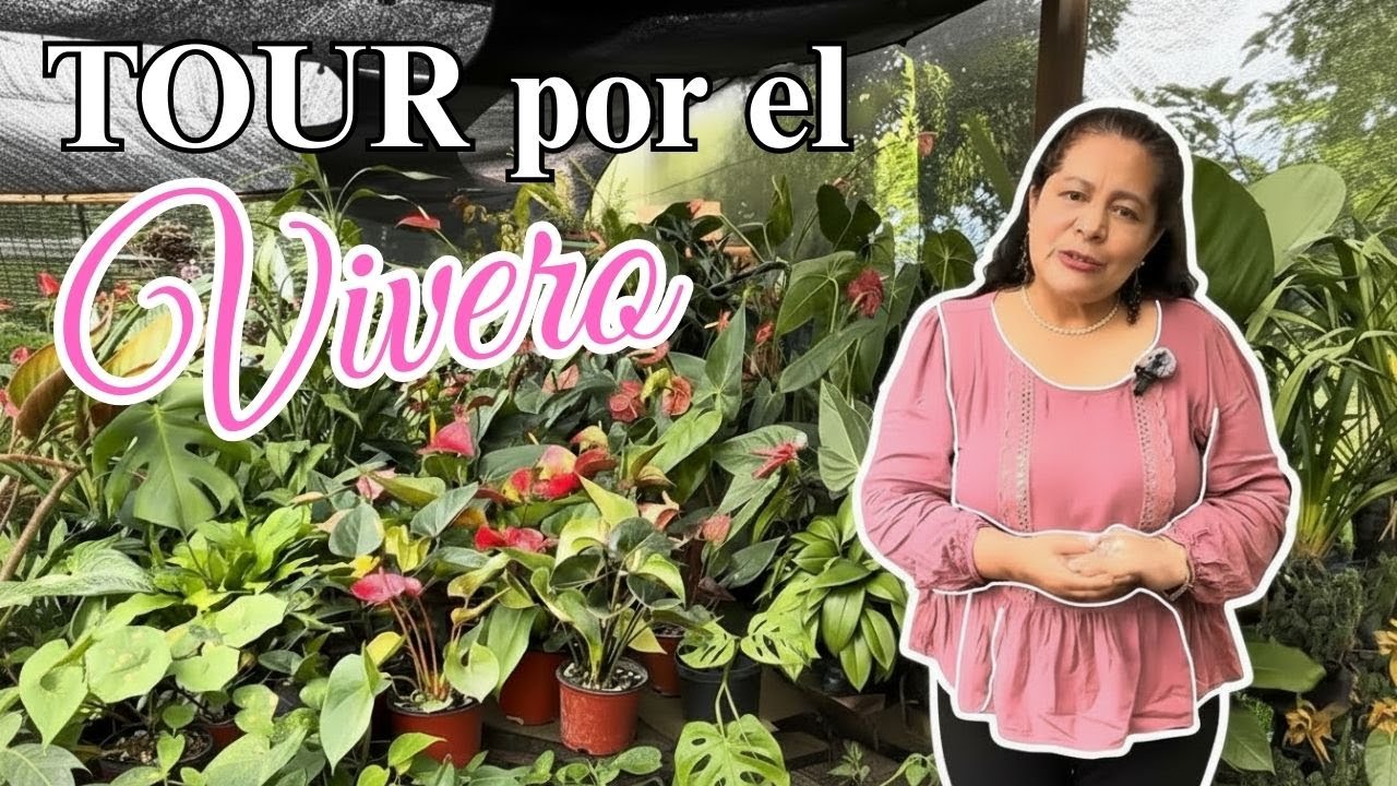 TOUR por el VIVERO VerdeCora | Cartago, Nariño