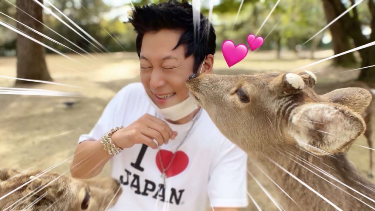 鹿せんべいをあげたら、キスされちゃいました。。。| 奈良公園でやられちゃった韓国人の末路。。。