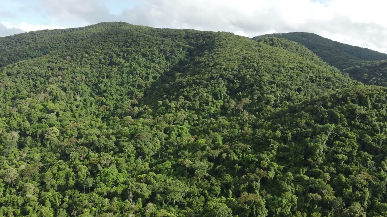 Serra do Japi - Jundiaí/SP