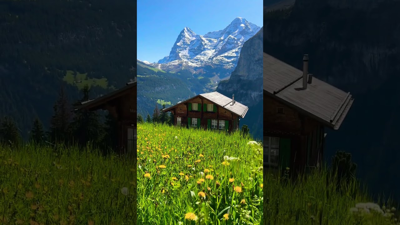 Spring in Switzerland #switzerland #nature #travel #m&uuml;rren #swissalps #spring #interlaken