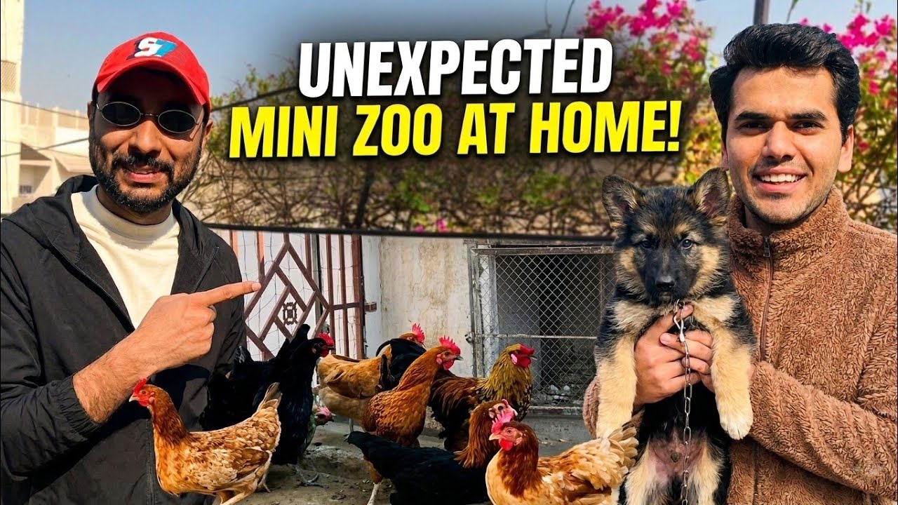 GHAR KE UPAR CHIDIYA GHAR? 😱 | Mini zoO